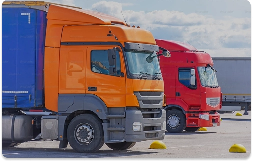 დისტრიბუცია & ლოგისტიკა